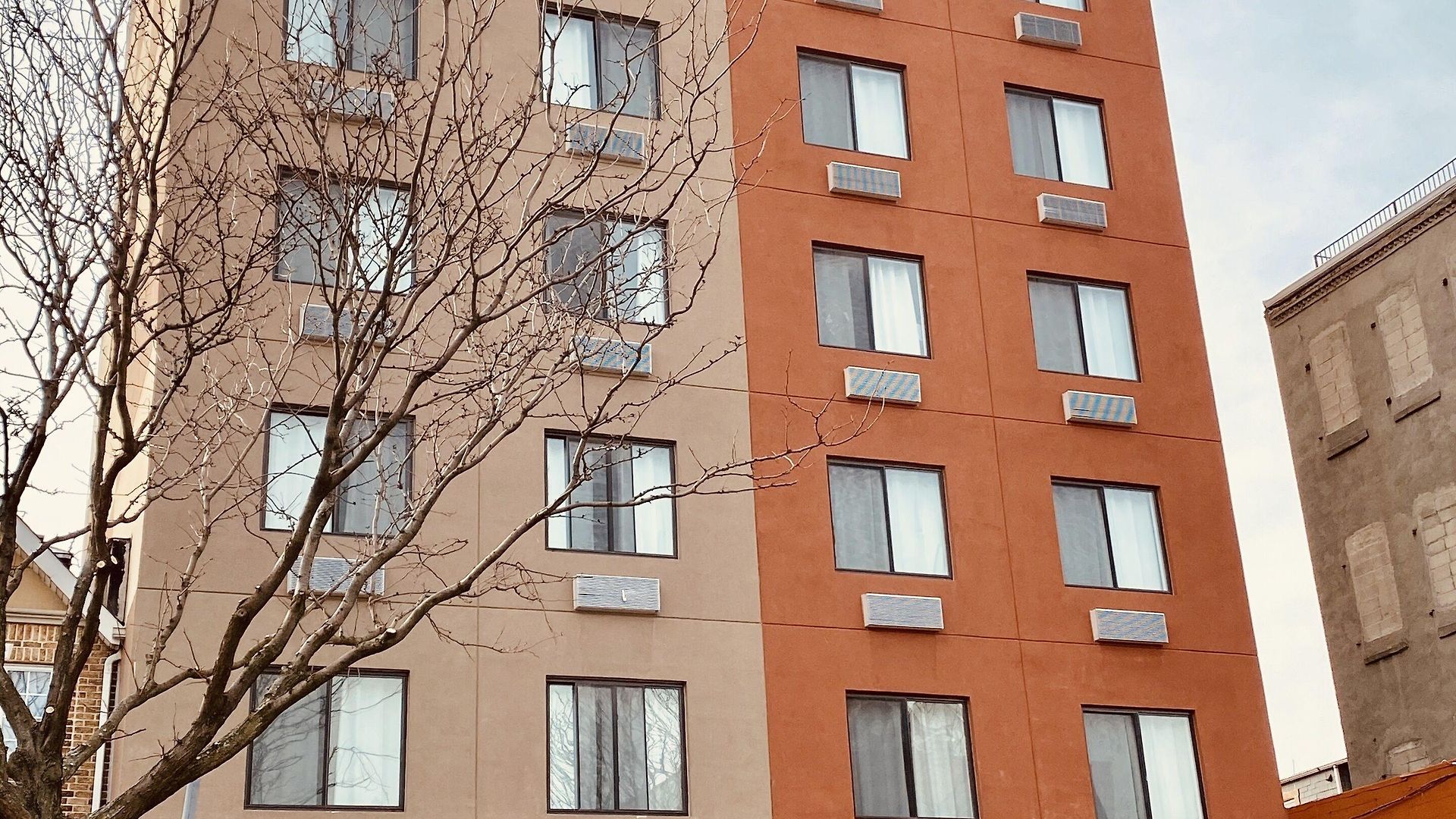 Surface Brooklyn (adults Only) 3*