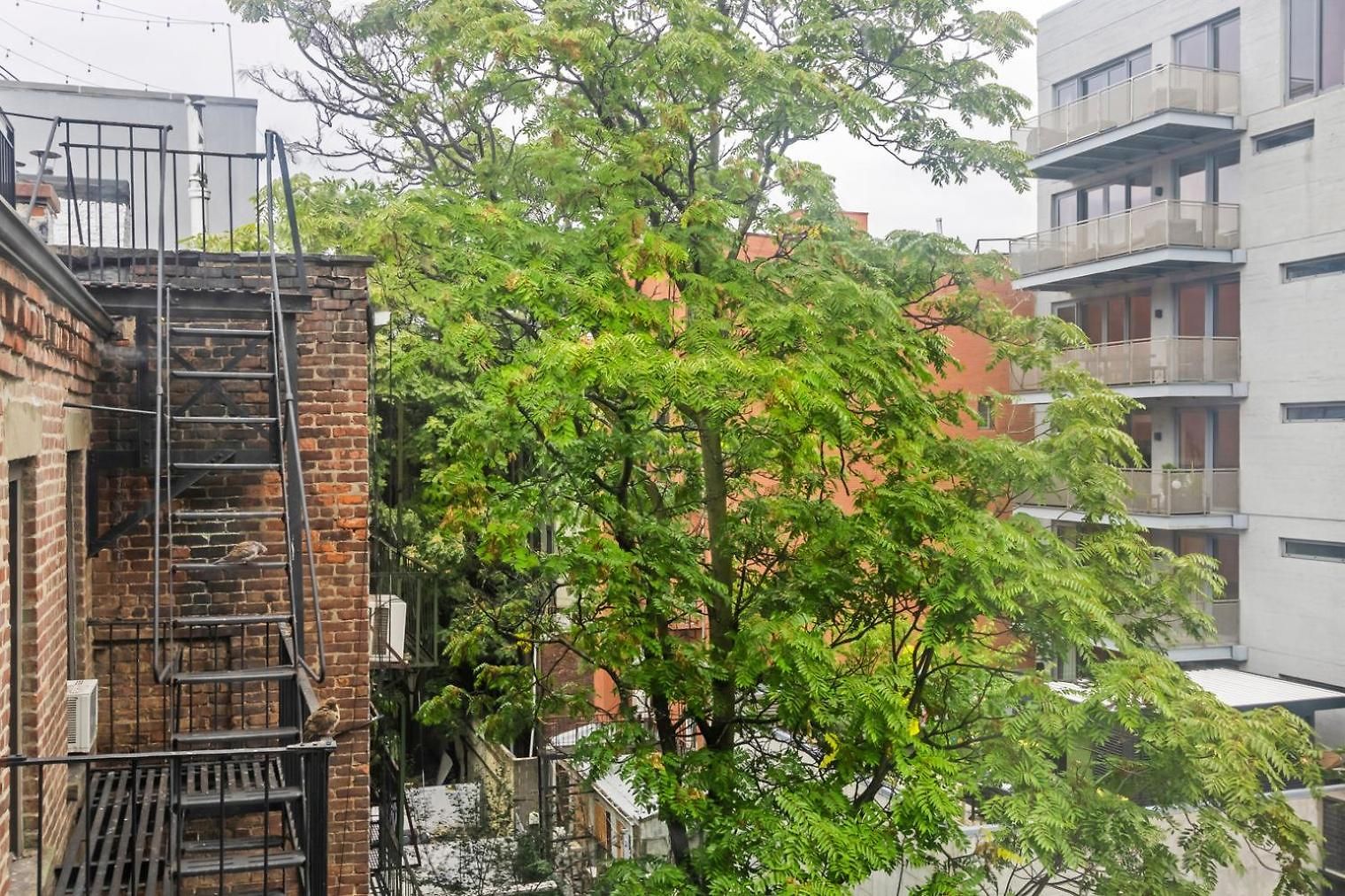 Blueground Nolita Private Entrance Nr Bowery Nyc-2054 Apartment *