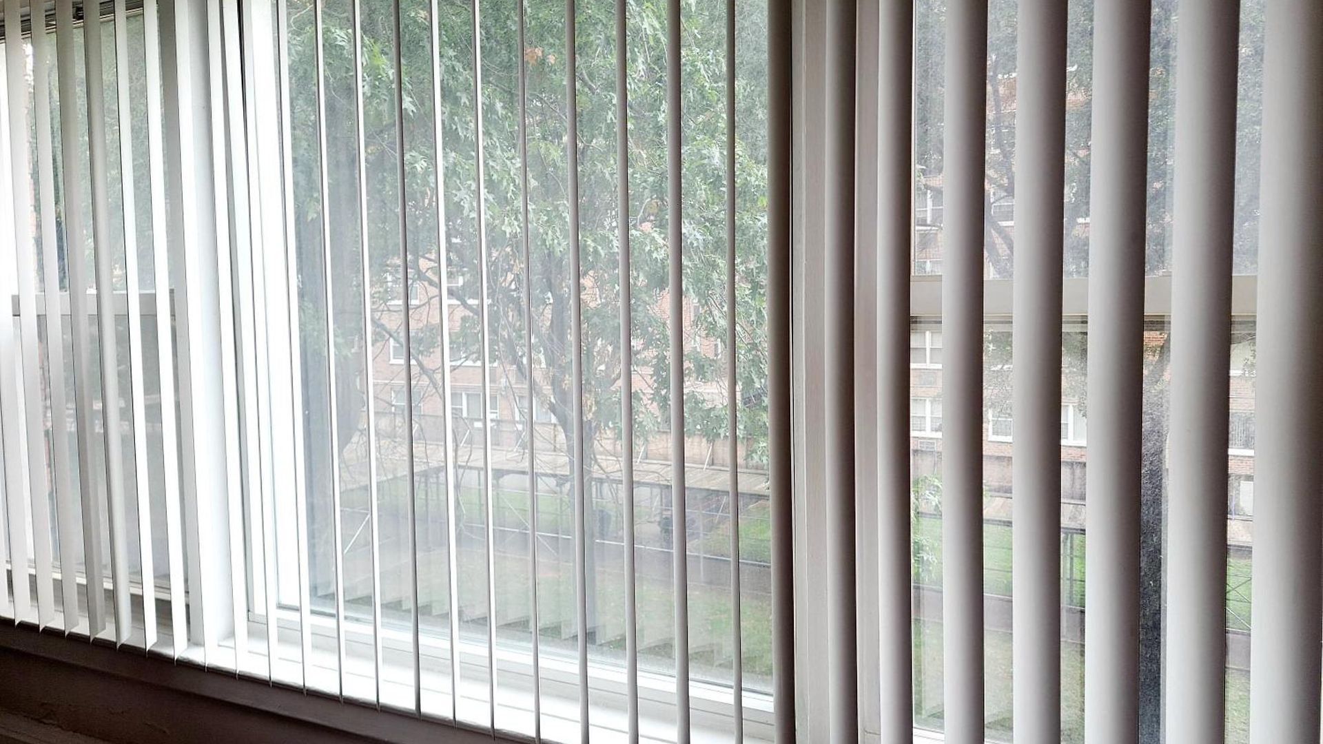 Apartment Piece Of Mind In Harlem