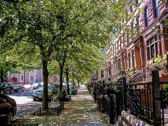 Brooklyn Beautiful *