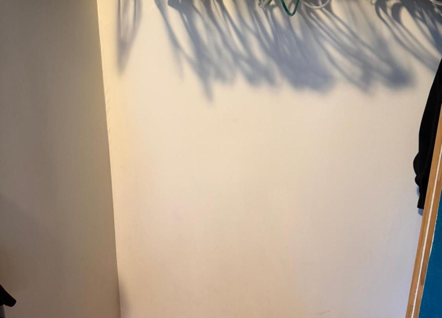 Cozy 2 Bedroom In Thriving Crown Heights Area * New York