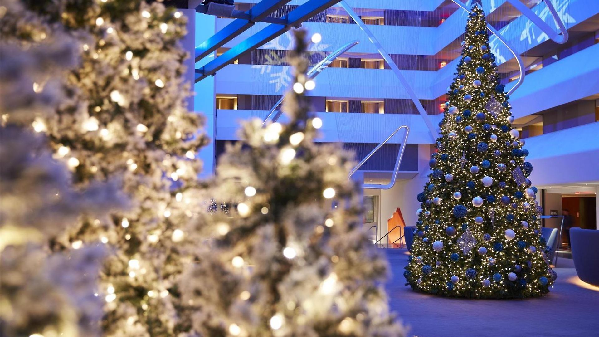 Conrad Downtown Hotel 5*