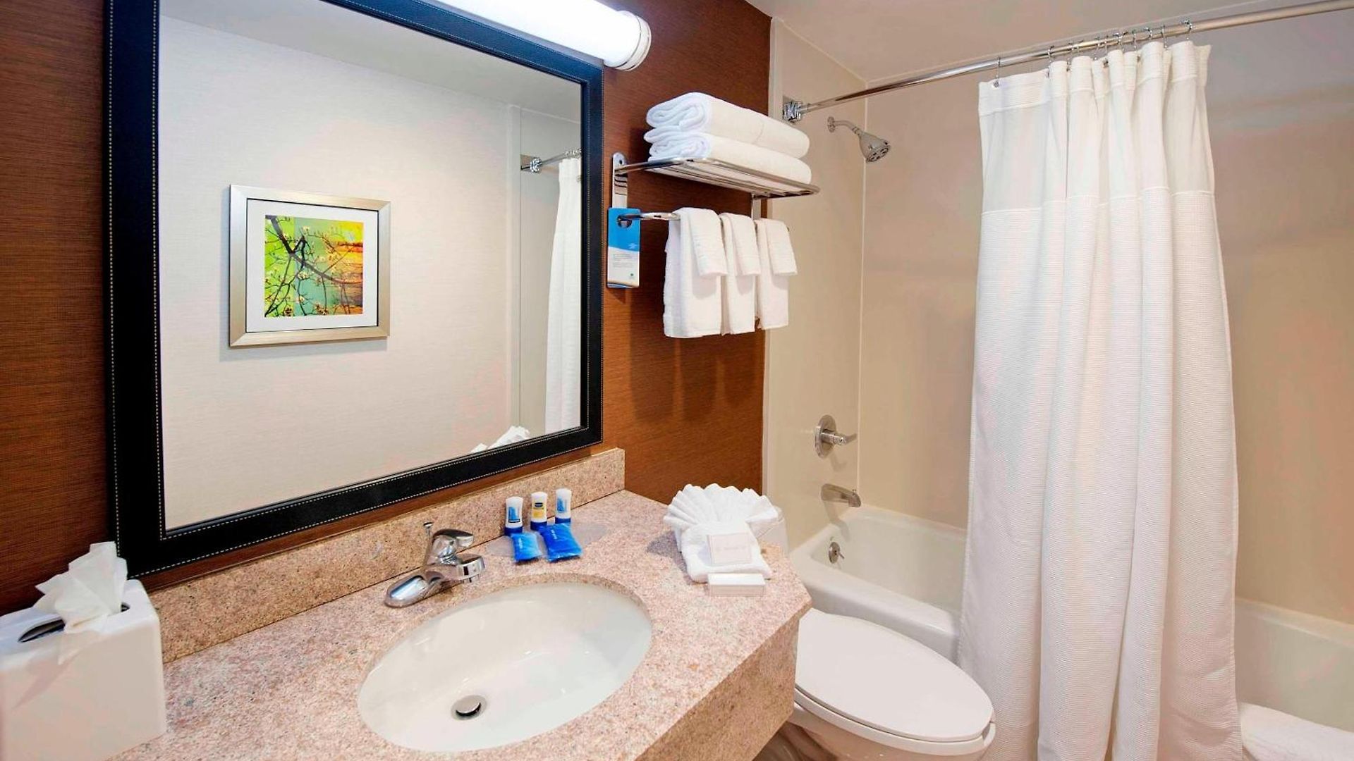 Fairfield By Marriott Jfk Airport Hotel
