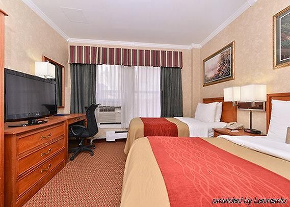 Comfort Chelsea 2*