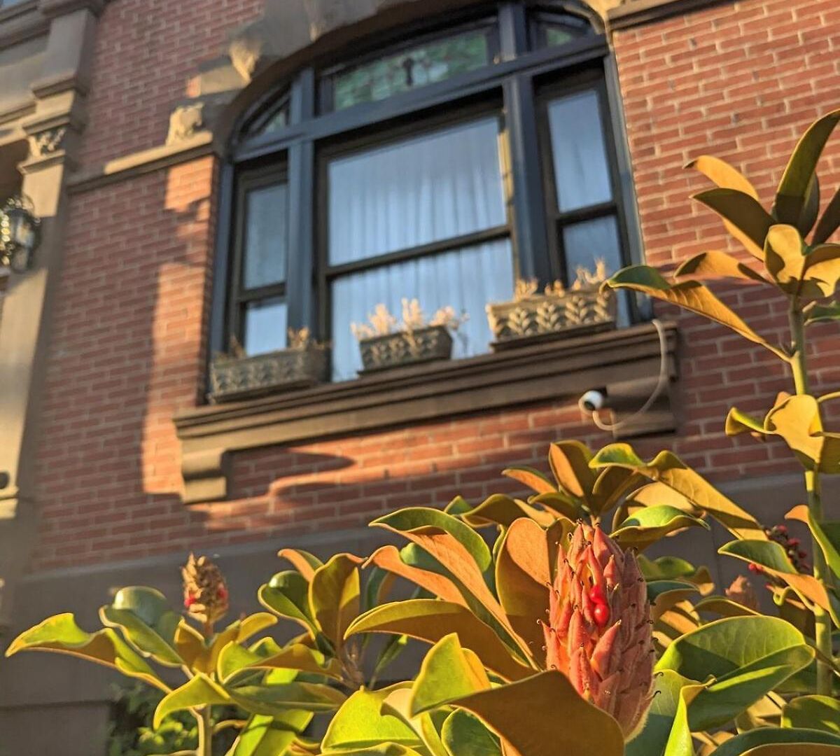 Apartment Luxury Duplex In 1880s Brownstone W Private Garden