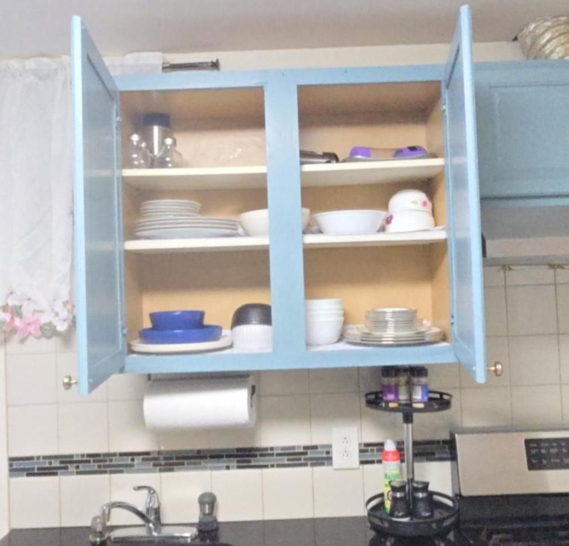 Apartment Staten Island Cozy Private 1-br Basement Close To Nyc Family & Pet Friendly New York