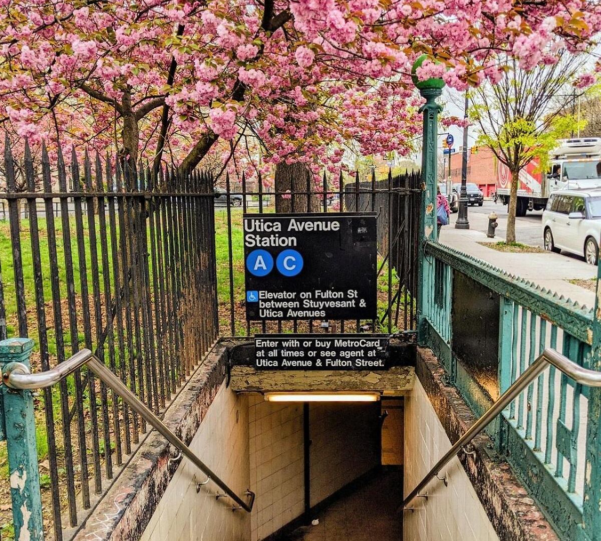 Luxury Duplex In 1880s Brownstone W Private Garden New York