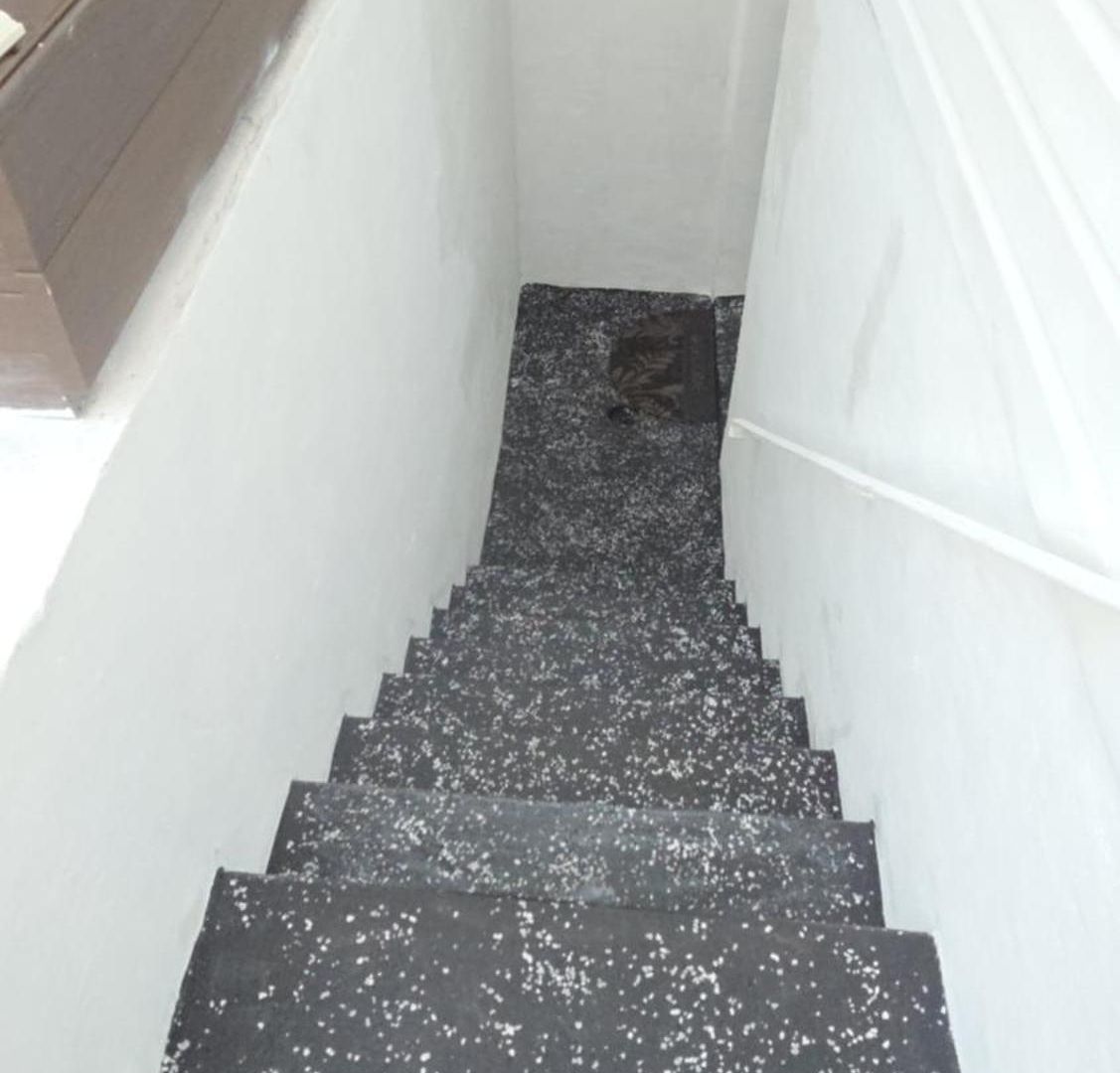 Apartment Staten Island Cozy Private 1-br Basement Close To Nyc Family & Pet Friendly New York