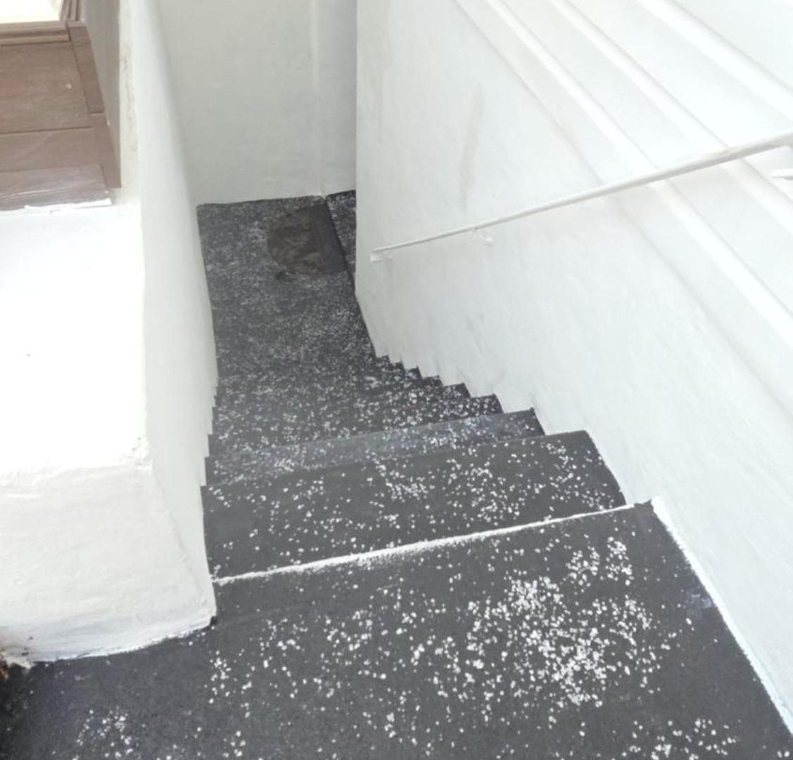 Staten Island Cozy Private 1-br Basement Close To Nyc Family & Pet Friendly