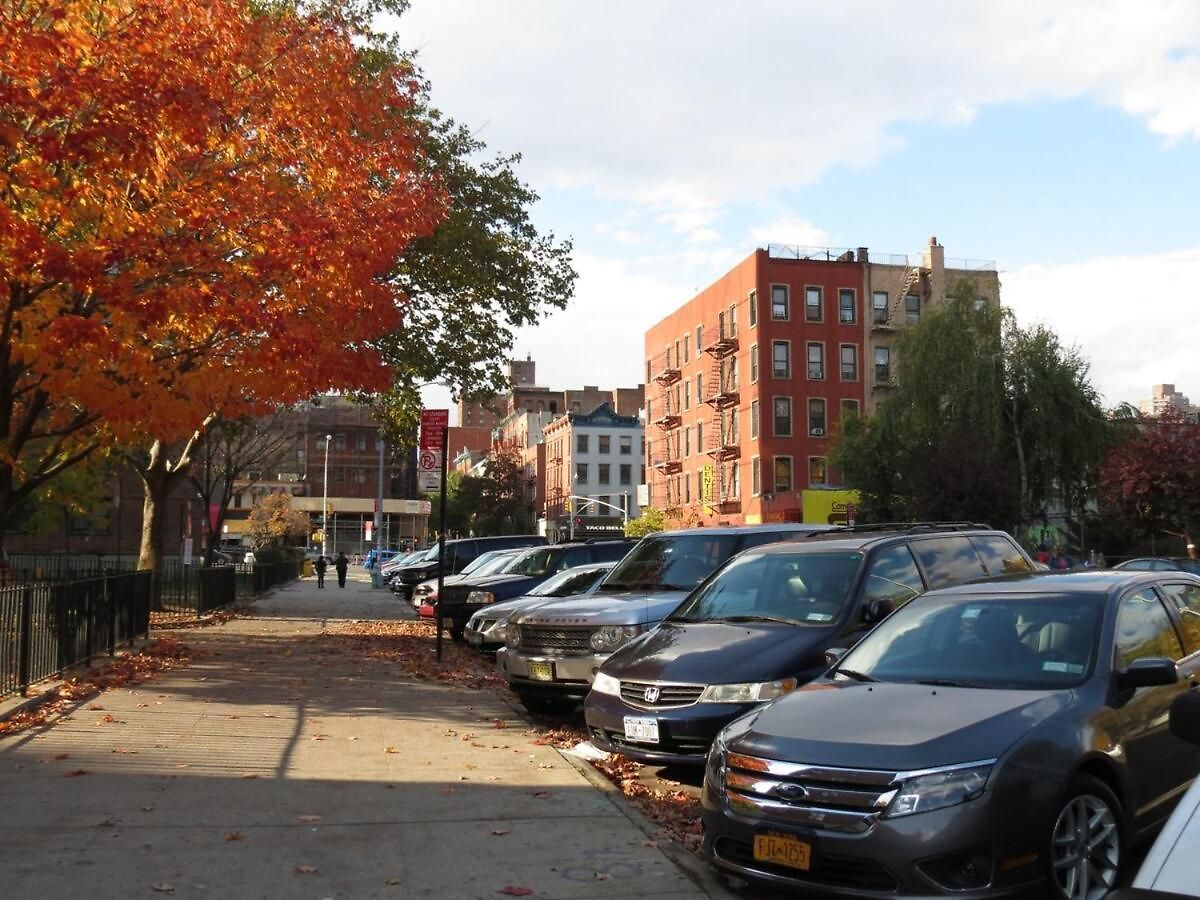 Apartment 2br Near Mount Sinai & Metropolitan Hospitals New York