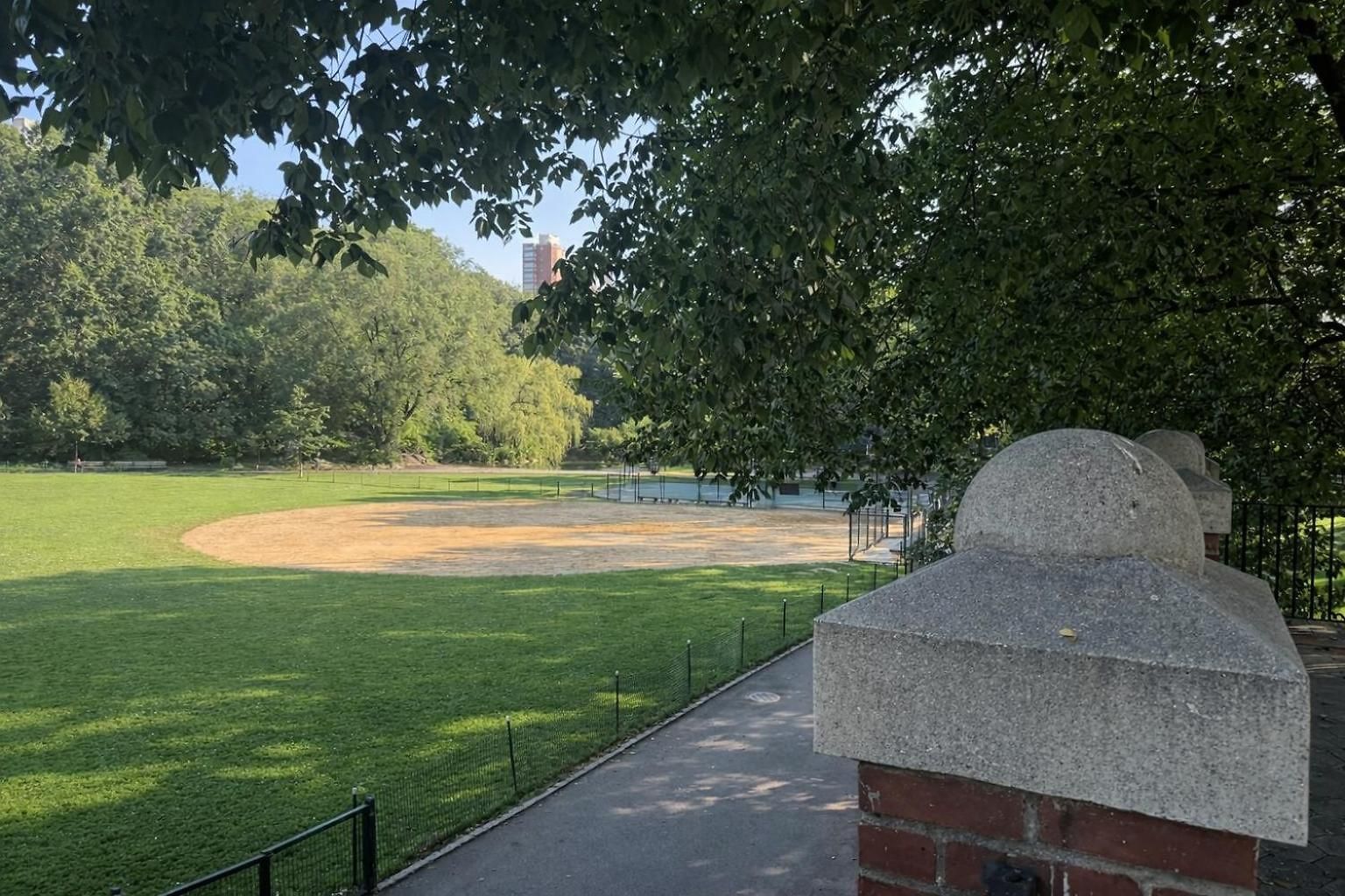 Homestay In A 3 Big Prime Harlem Location Near Park New York