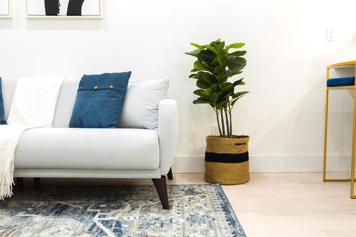 Apartment 317-3d I New Modern 1br W&d Walk To Park *