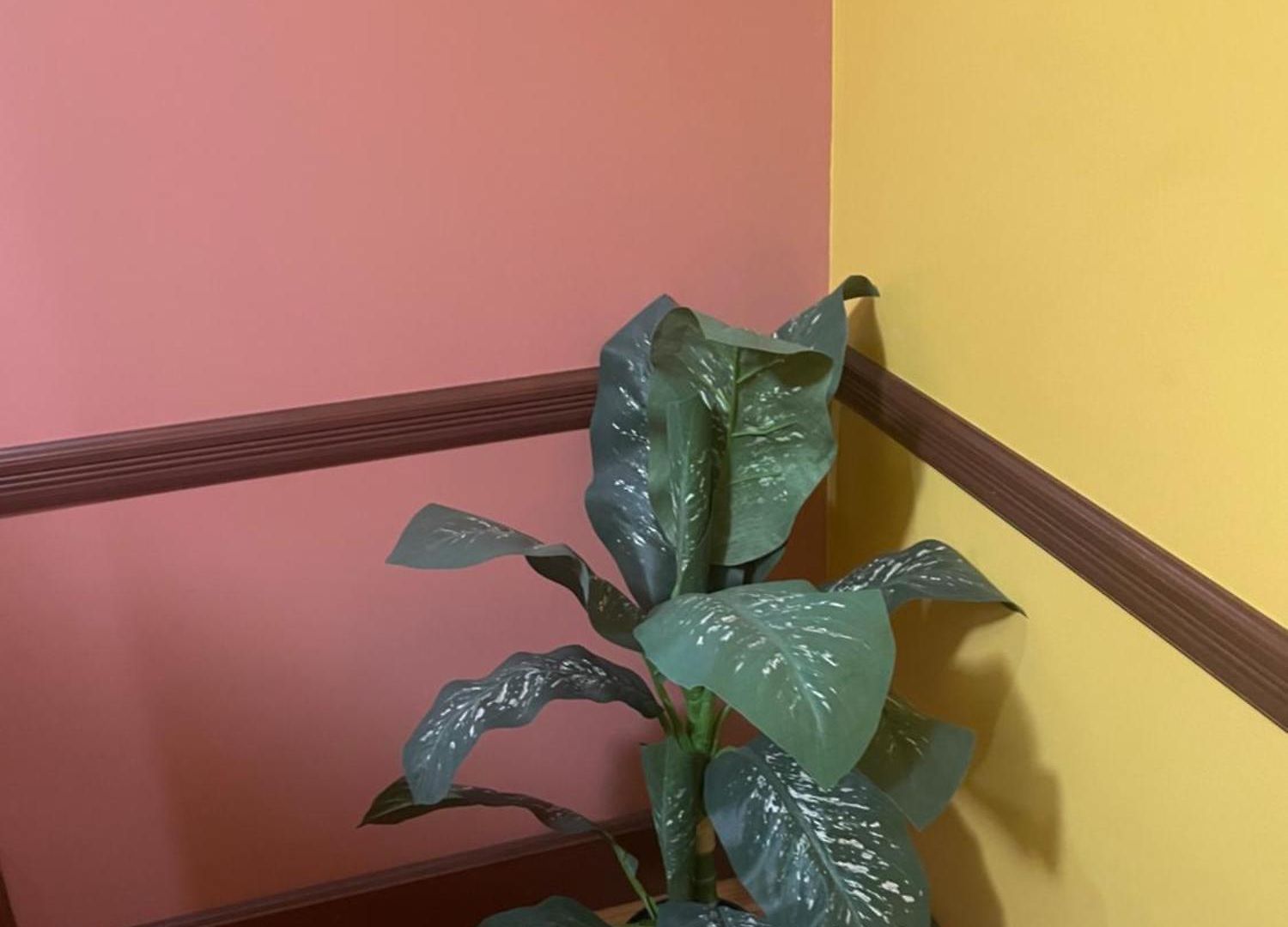 Private Unit With Own Entrance To Share