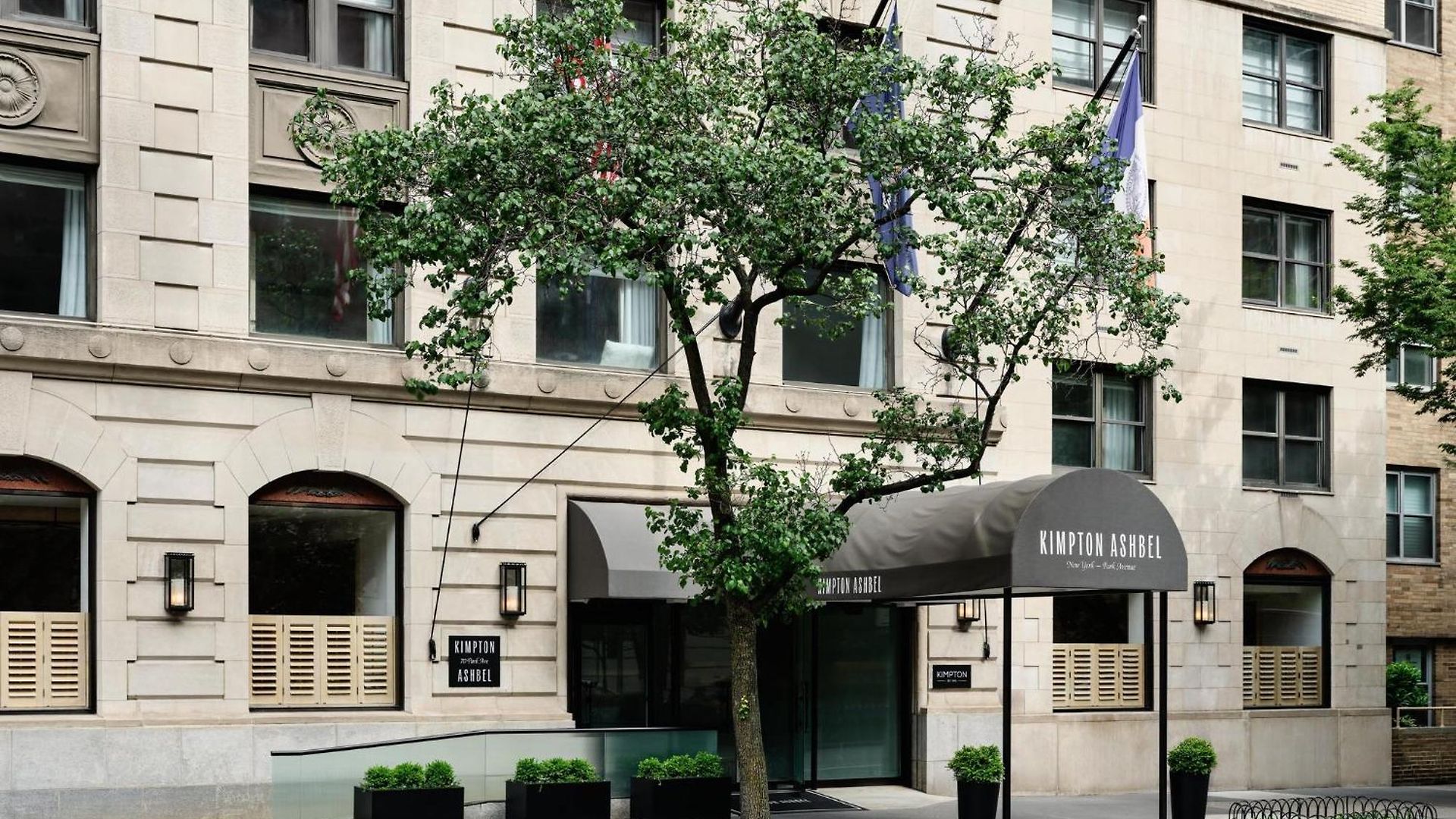 Hotel Kimpton Ashbel Park Avenue 4*