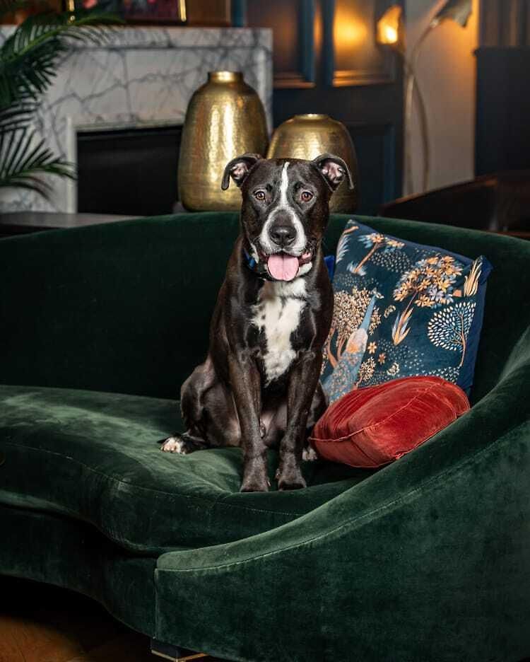 Hotel The Wallace