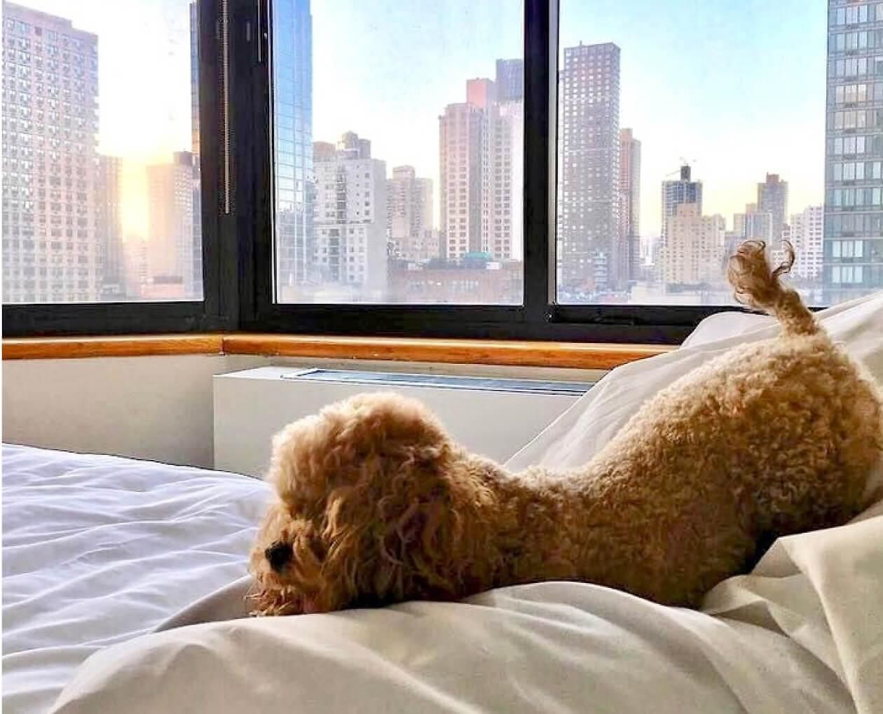 Hotel The Marmara Park Avenue New York