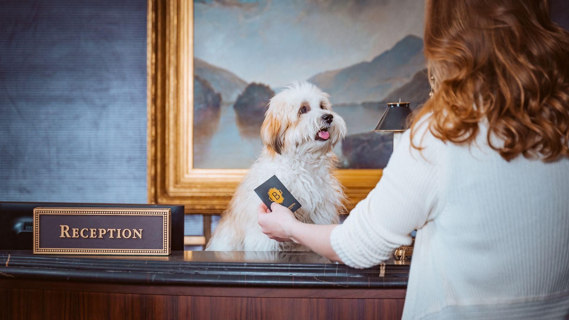 Intercontinental Barclay By Ihg 5*