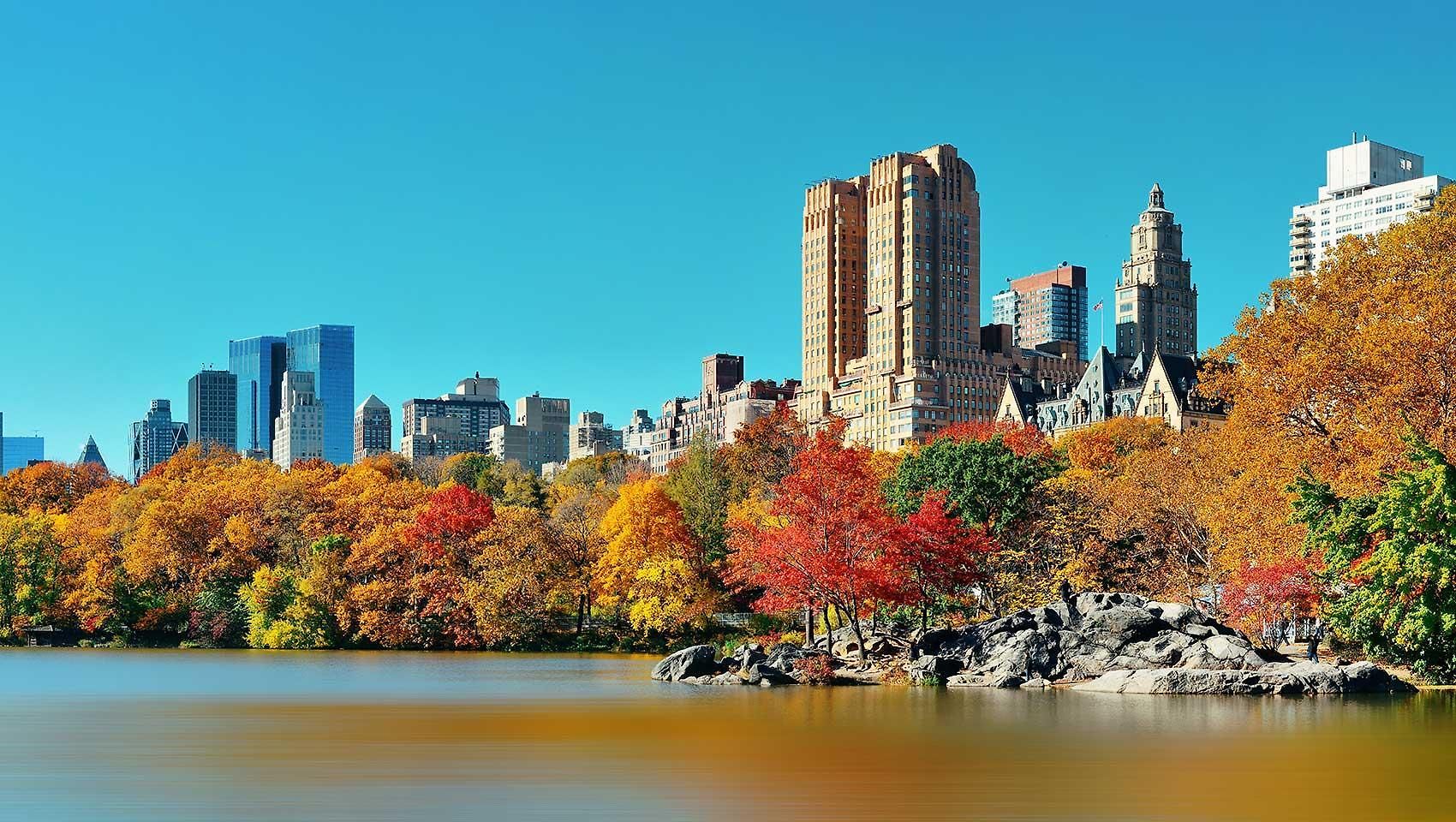 Kimpton Theta - Times Square By Ihg Hotel 5*