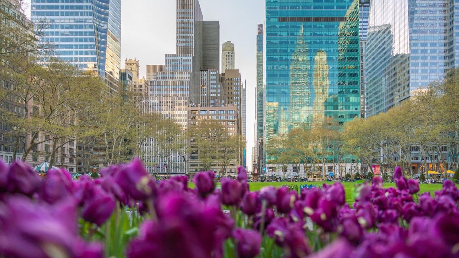 Hotel Kimpton Era Midtown By Ihg