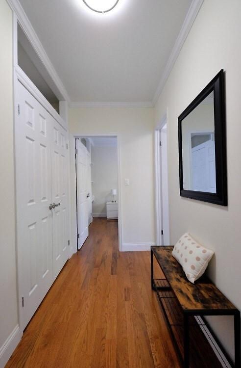 The Lexy Vii Vibe 8638 Apartment *