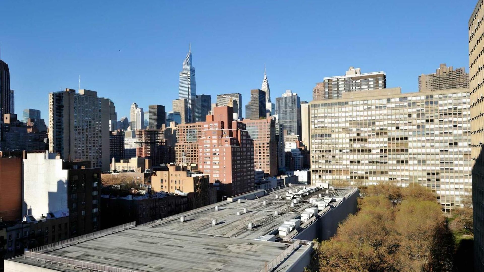 The Kips Iv Vibe 8649 Apartment New York
