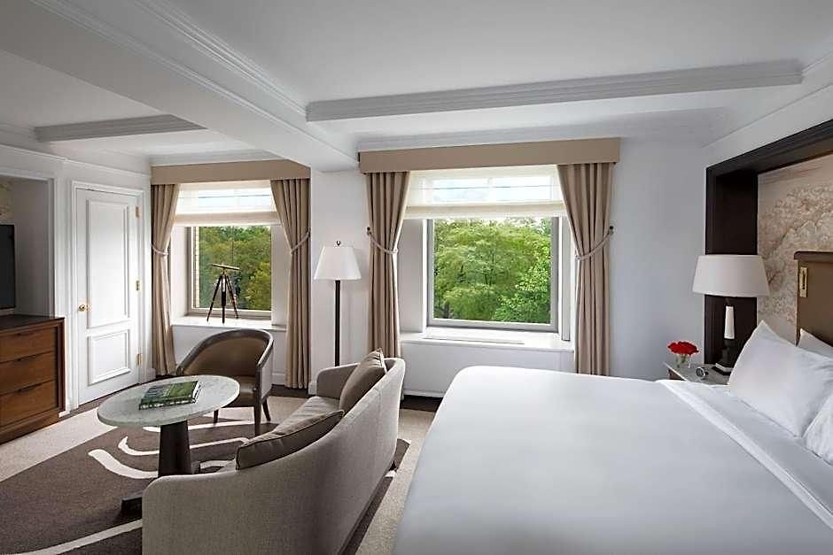 Hotel The Ritz-carlton New York, Park