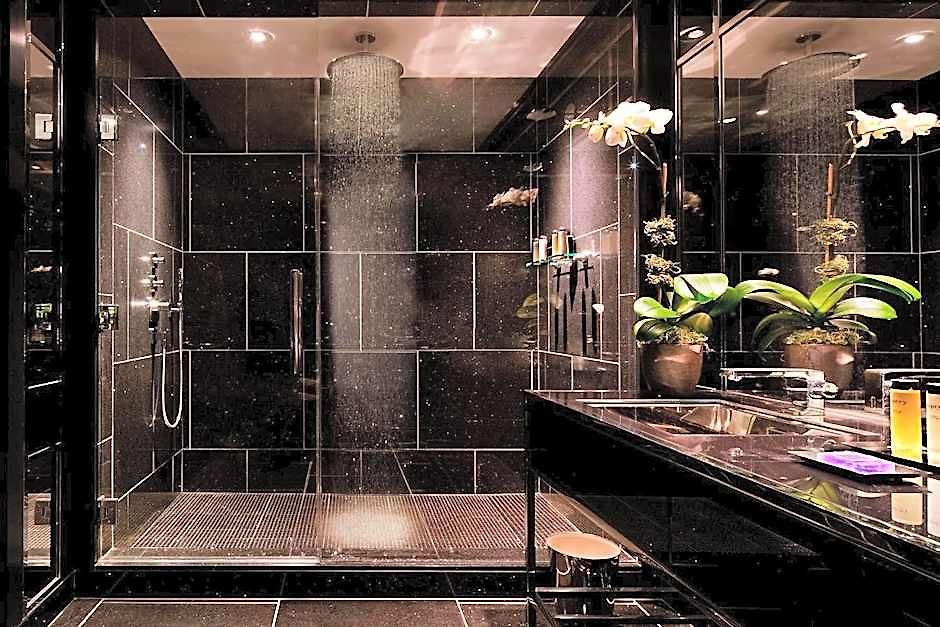 The Chatwal, The Unbound Collection By Hyatt Hotel New York