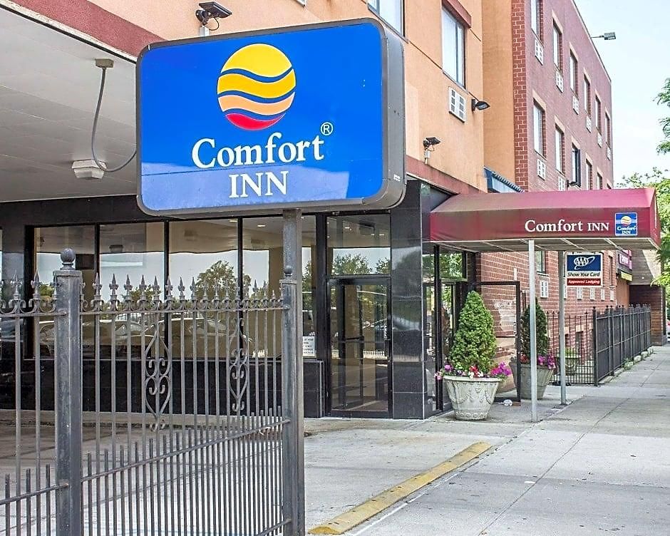 Comfort Brooklyn New York