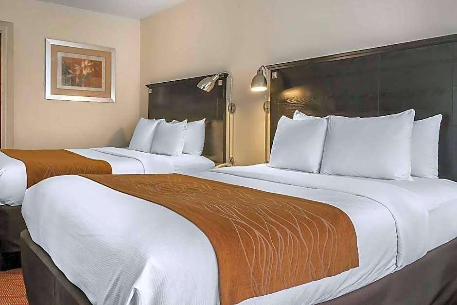 Hotel Comfort & Laguardia Airport New York
