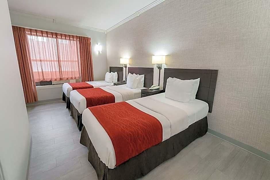 Comfort Chelsea 2* New York