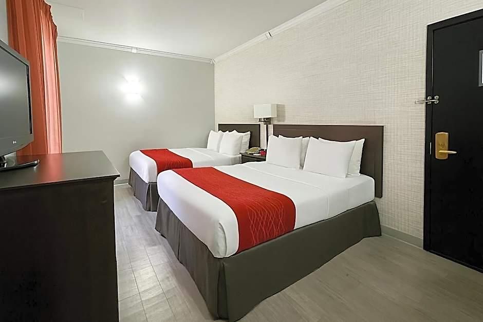 Comfort Chelsea
