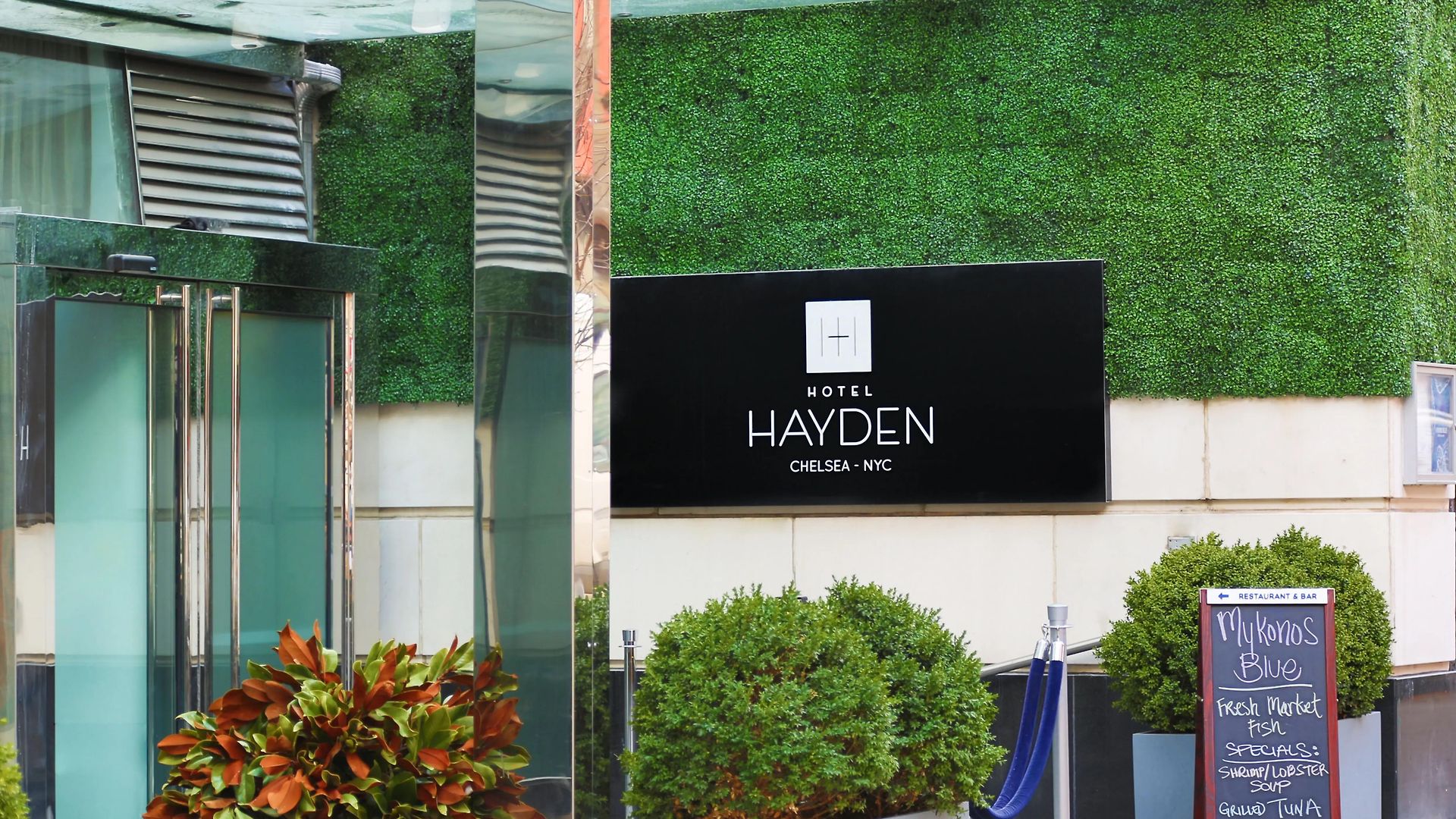 Hayden 4* New York