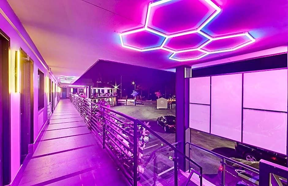 Opus Bronx New York