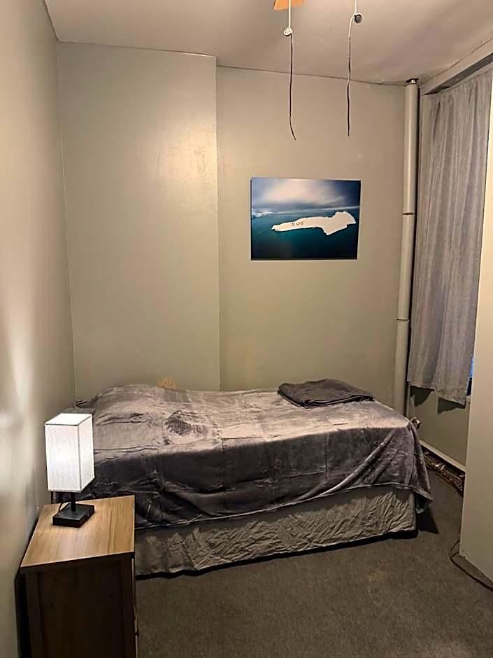 Macaw Guest house New York