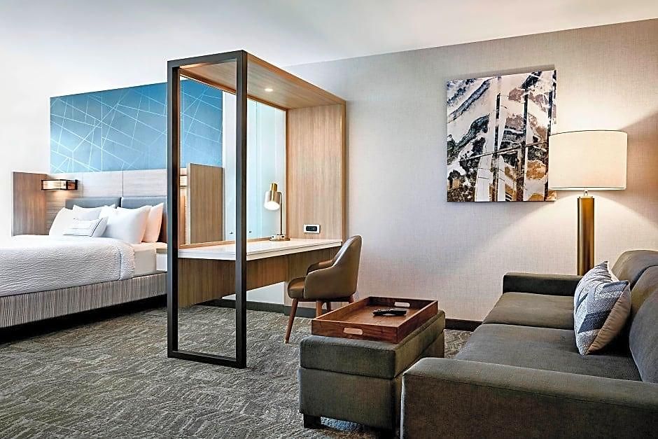 Hotel Springhill By Marriott Jfk Airport Jamaica New York