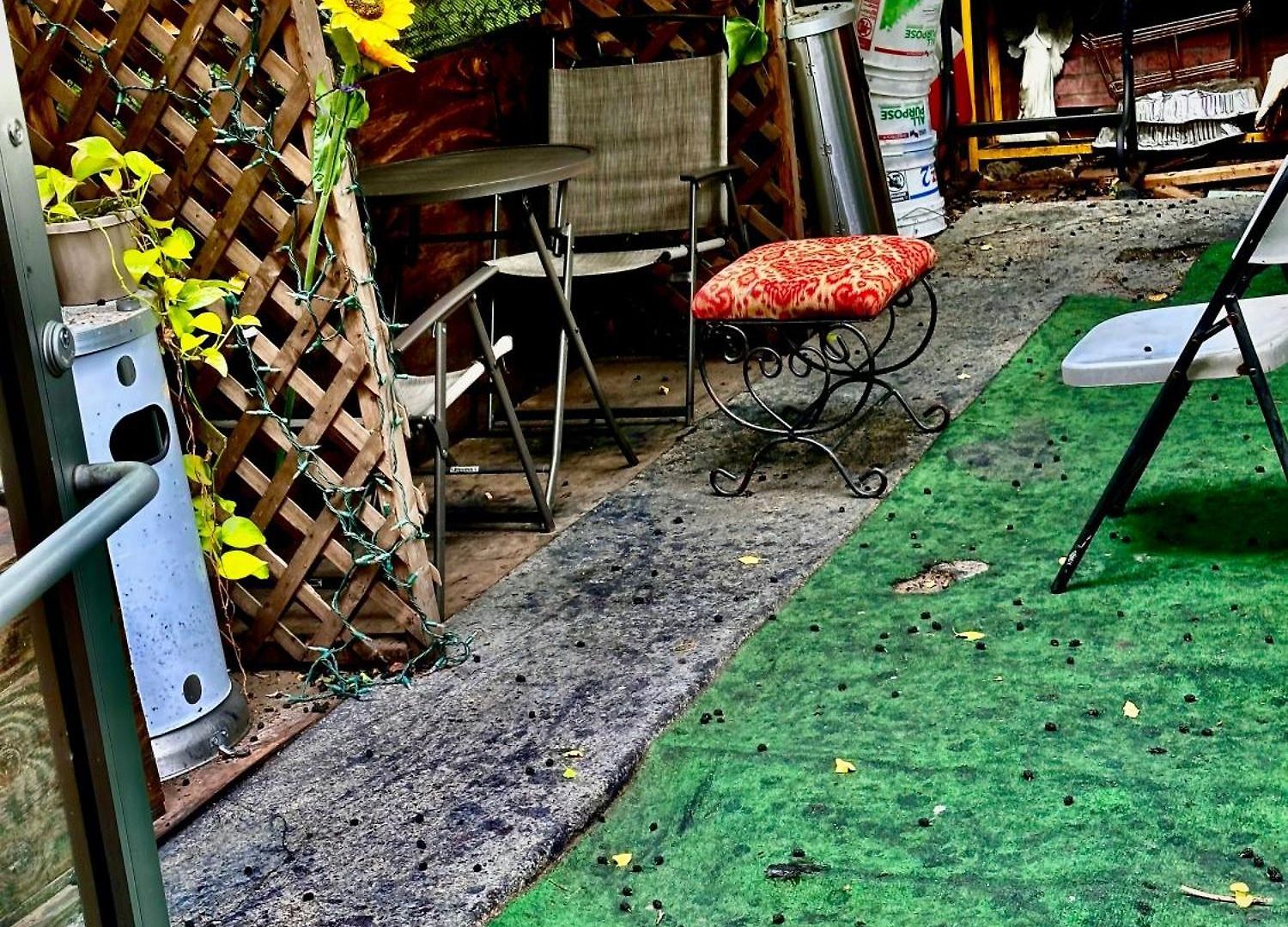 The Brooklyn Riviera Hostel