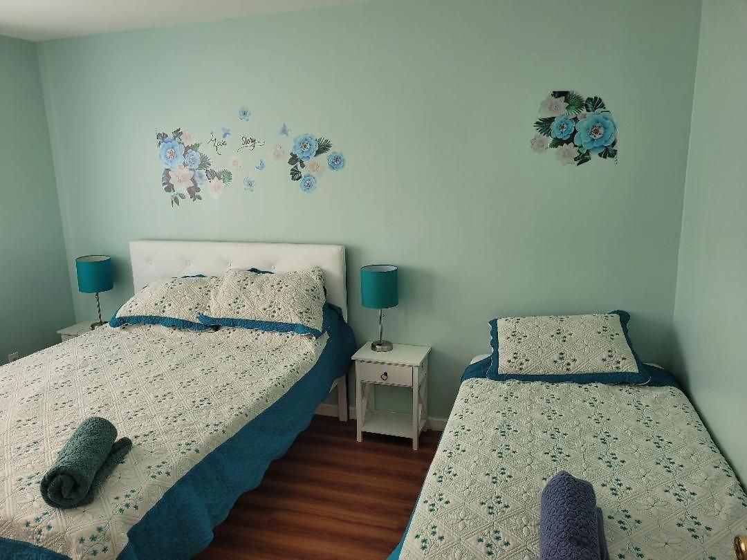 Beautiful Place In Forest Hills Next To All Guest house *