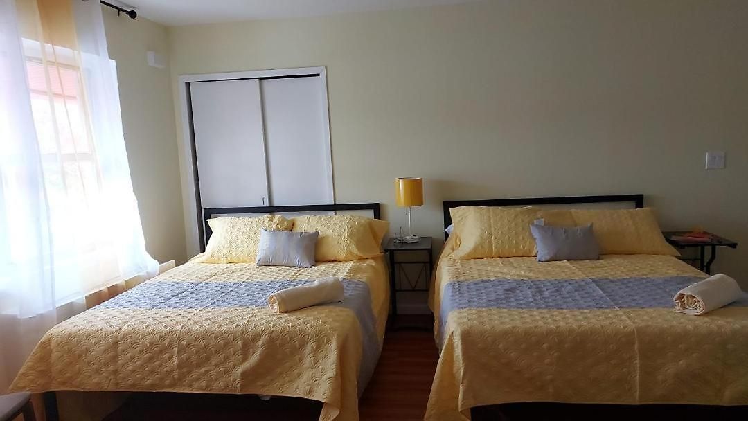 Guest house Beautiful Place In Forest Hills Next To All *