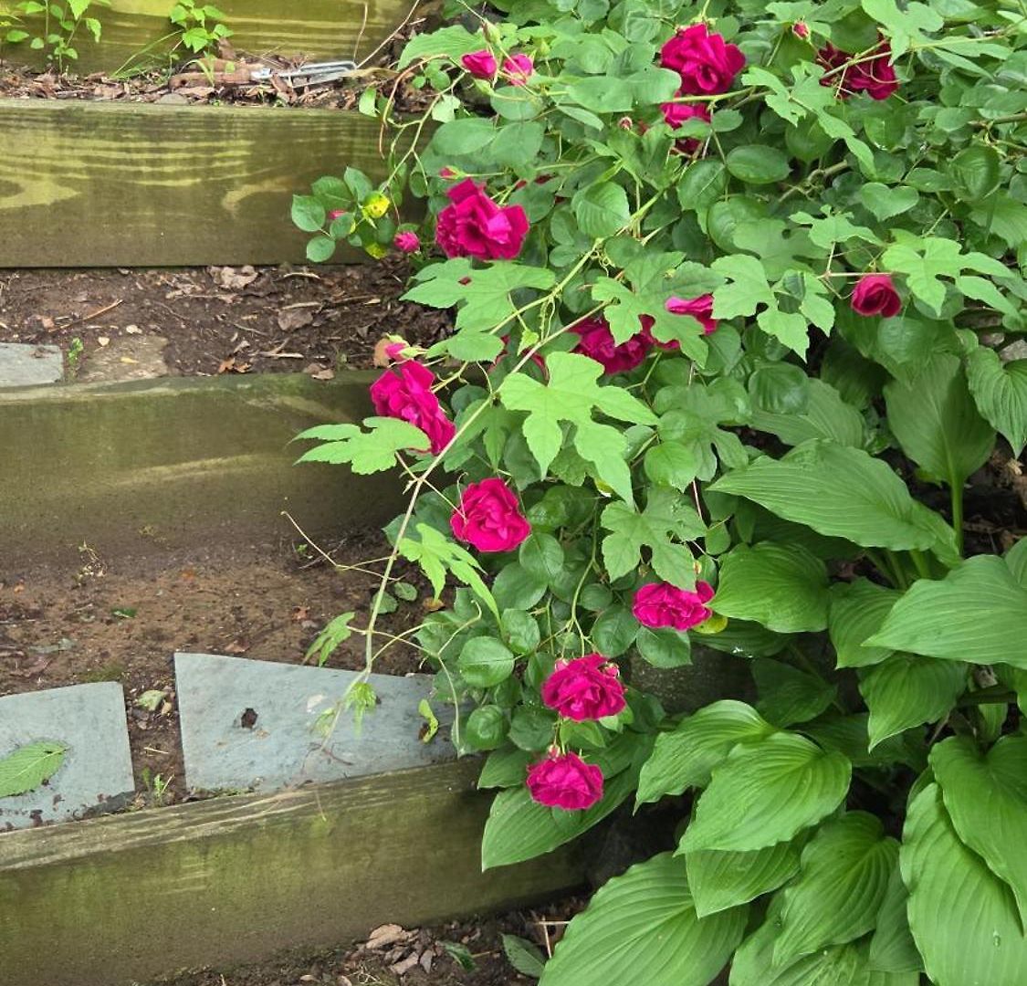 Homestay A Private 15 Min From Manhattan