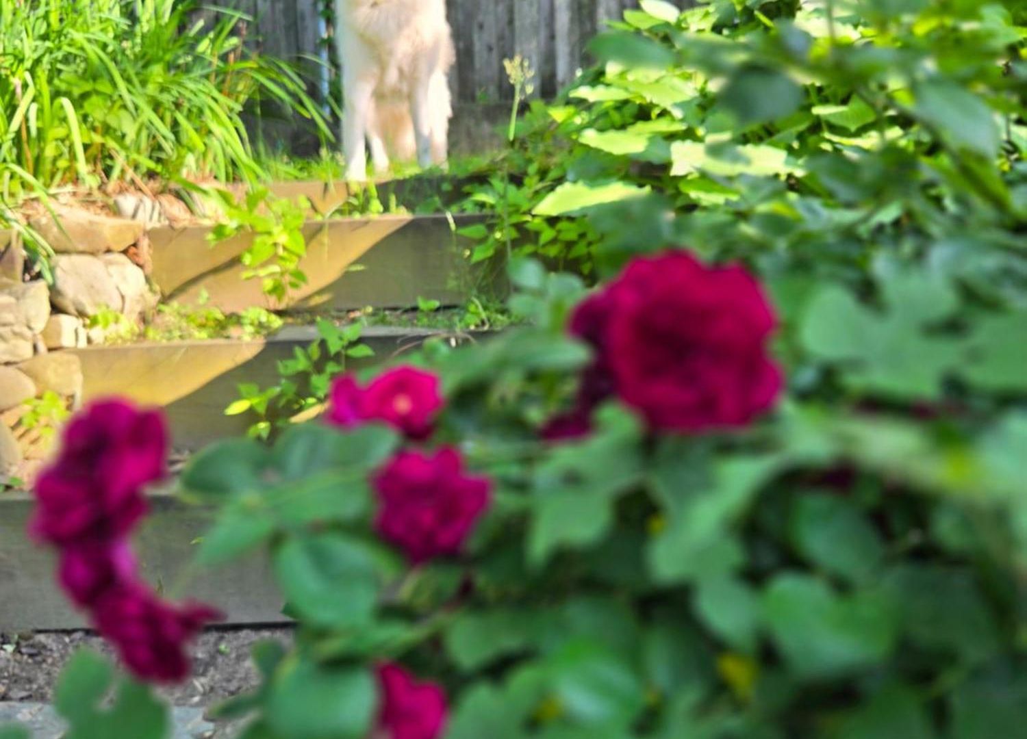 A Private 15 Min From Manhattan Homestay New York