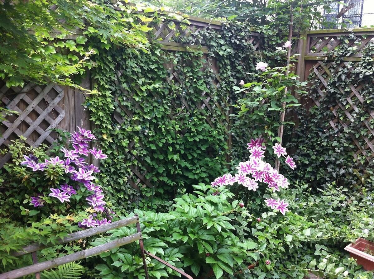Lovely Brownstone In W Harlem 4 Bdr 3 Bath Garden Holiday home