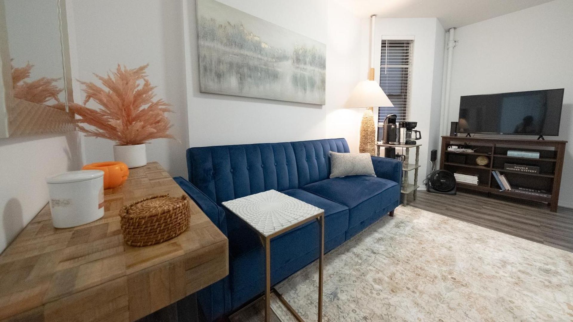 Cozy 1 Bedroom New York