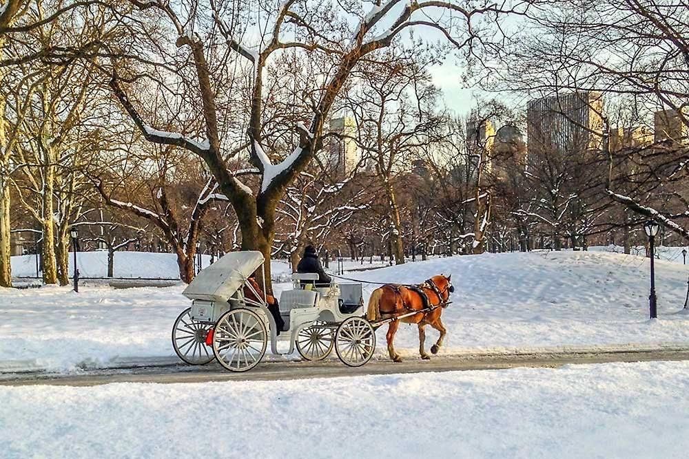 - Near Park Apartment *