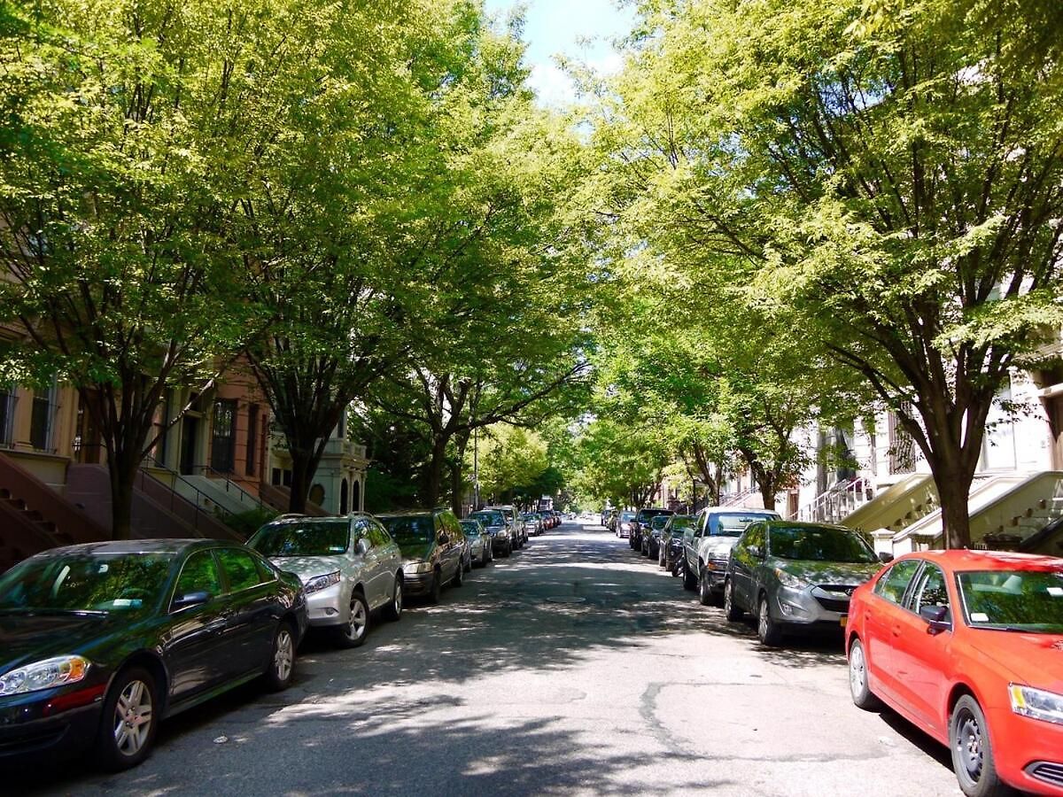 Lovely Brownstone In W Harlem 4 Bdr 3 Bath Deck Garden Apartment New York