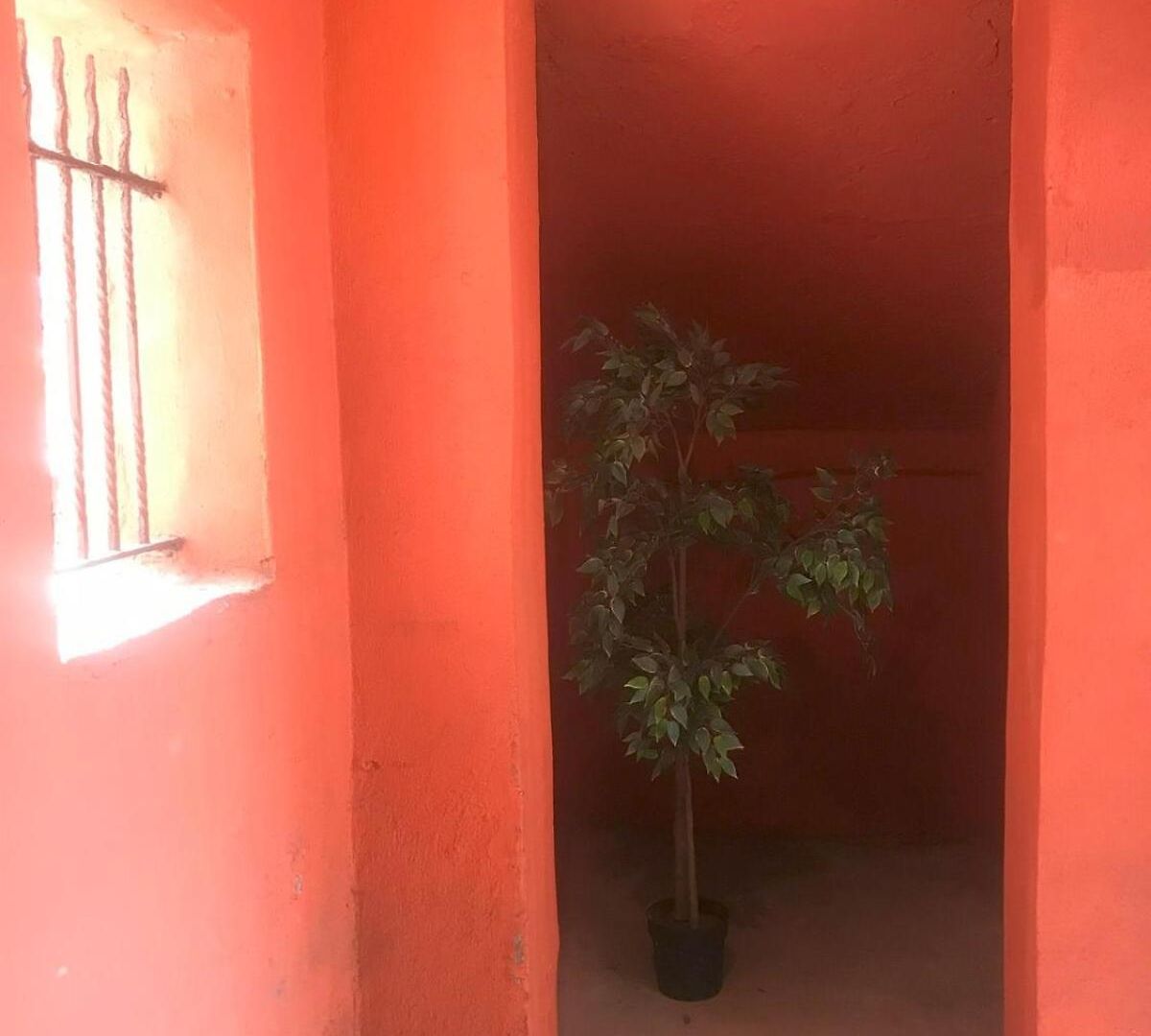 Apartment Spacious Garden Duplex 2 Bdrm *
