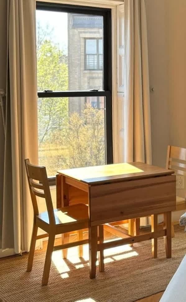 Apartment Brooklyn Sun Kissed