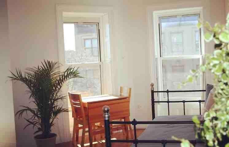 Brooklyn Sun Kissed Apartment *