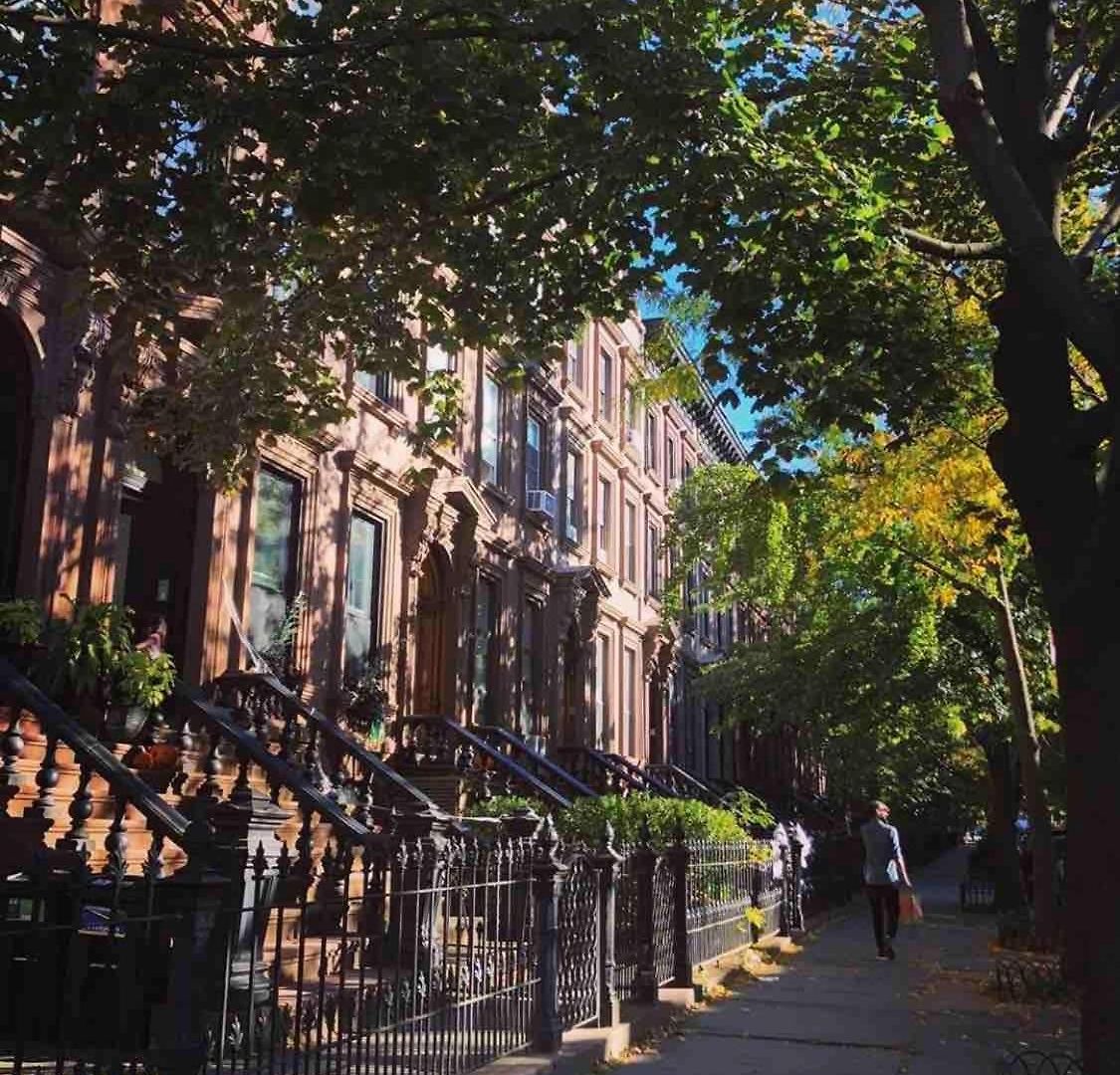 Brooklyn Sun Kissed New York
