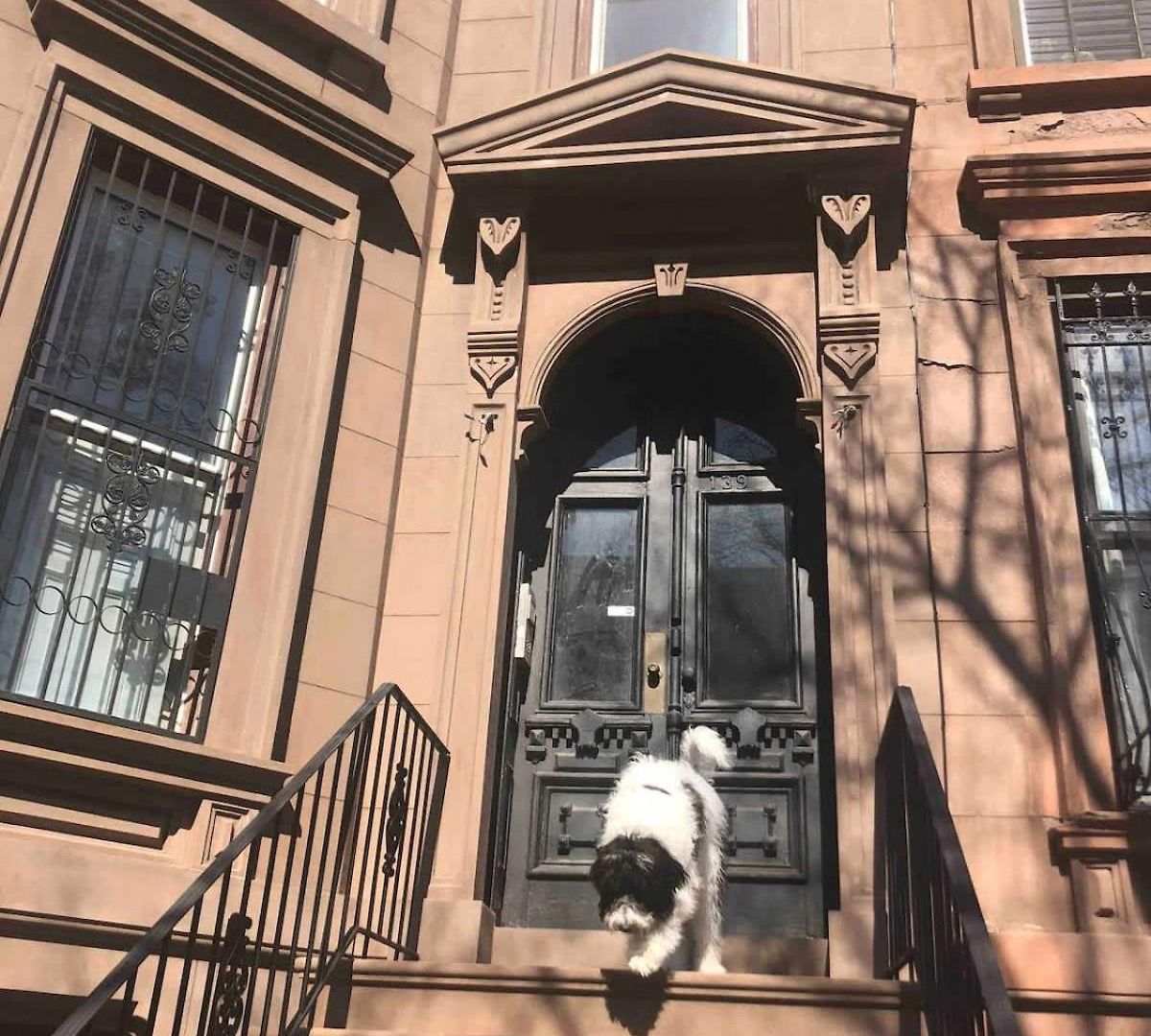 Brooklyn Stylish Apartment