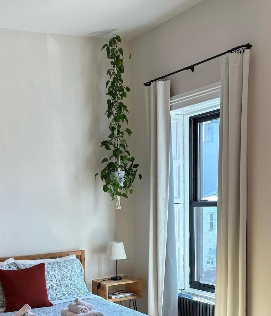 Brooklyn Sun Kissed Apartment *